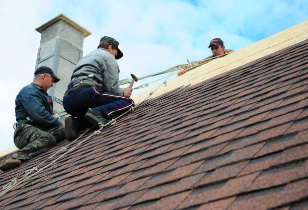 Best Roof Leak Repair  in Burton, SC